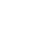 expertise ico