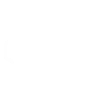 service ico